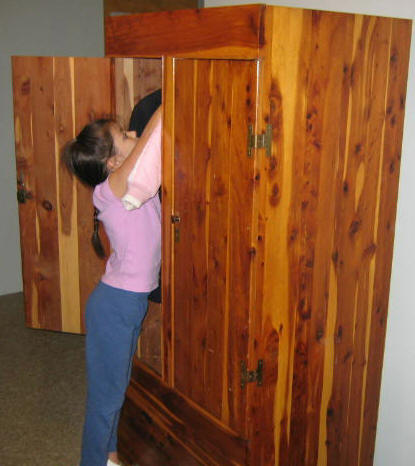 DIY Plans How To Build An Armoire Closet PDF Download How To Build A Wooden Tool Chest